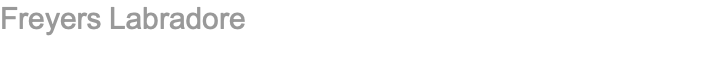 Freyers Labradore 